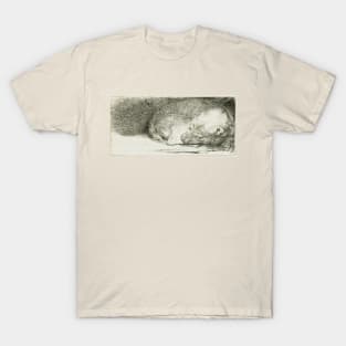 Sleeping Puppy T-Shirt